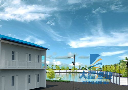 大疆渔业引领水产养殖新风潮 两大热门技术与农家乐休闲观光融合