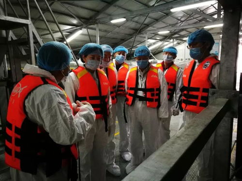 青海省冷水鱼养殖质量安全与技术发展调研纪实