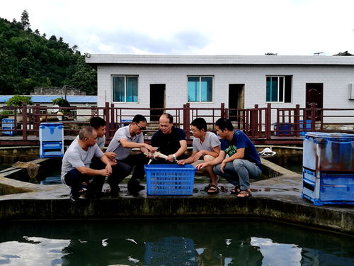 依托青山绿水 贵州特色水产体系的多重效益与技术研发