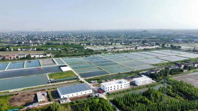 靖江基地一期工程基本完工，水产养殖科研迎来新突破