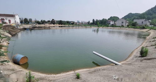 应用新模式新技术，推动水产养殖绿色转型与可持续发展