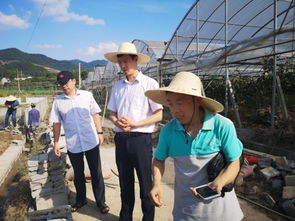 水产养殖灾后恢复技术指导 浙江磐安、德清两地行