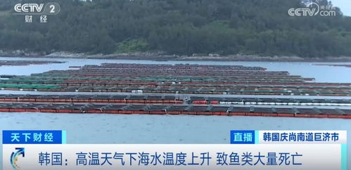 损失超1.5亿元！鱼类大量死亡重创水产养殖业，技术研发迫在眉睫