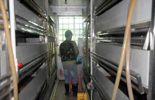 科技赋能生态养殖 茂名星火水产工厂化仿生态黄喉拟水龟养殖技术探索