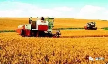 今年农业整体呈现'四涨一降'态势，水产养殖表现突出